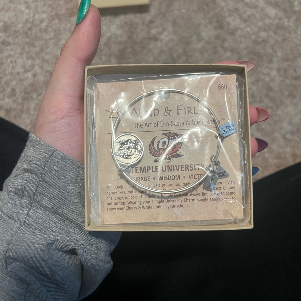 Temple Owls Bangle Bracelet